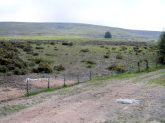 
Forgeside Level, Blaenavon, June 2010